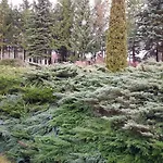 Villa Siedlisko Ostropest 9a *