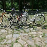 Siedlisko Ostropest 9a