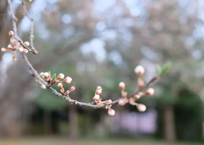 Vila Siedlisko Ostropest 9a