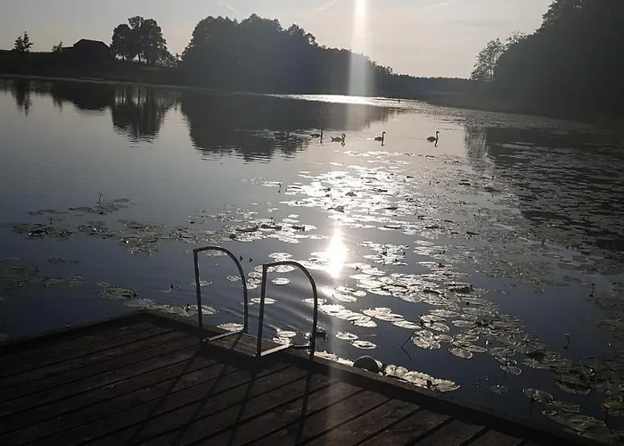 Siedlisko Ostropest 9a