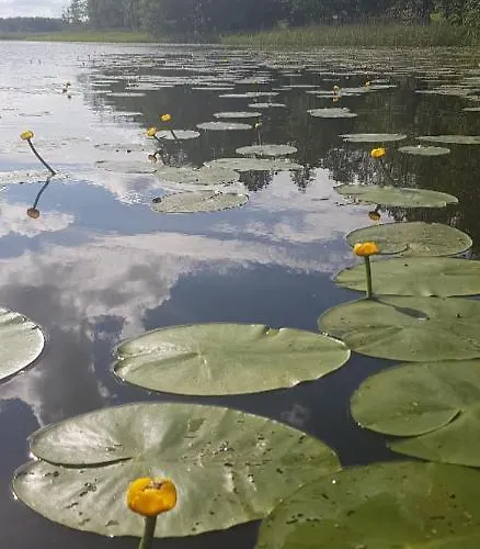 Vila Siedlisko Ostropest 9a