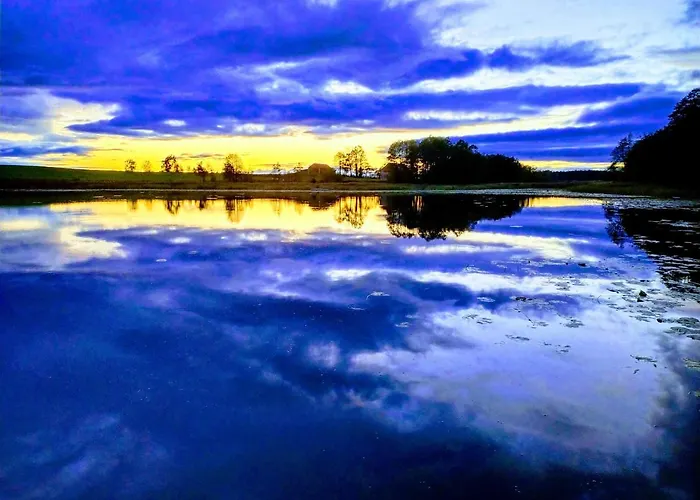 Siedlisko Ostropest 9a