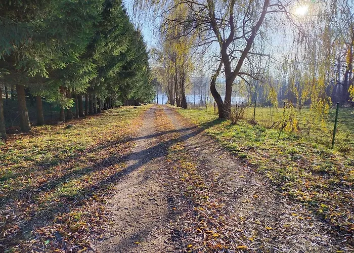 Siedlisko Ostropest 9a *