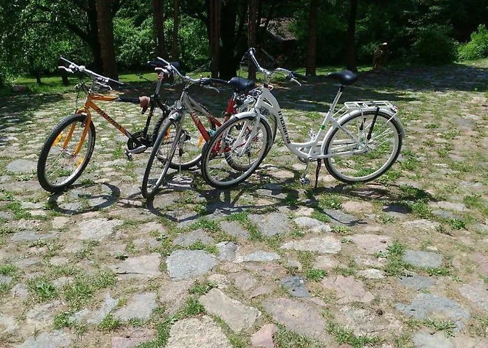 Siedlisko Ostropest 9a